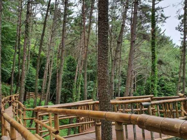거제 맹종죽테마공원