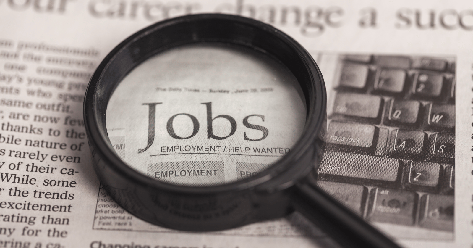 단디헬퍼구인구직