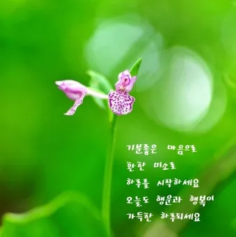 아침 인사말 일러스트 이미지 인사 문구_6