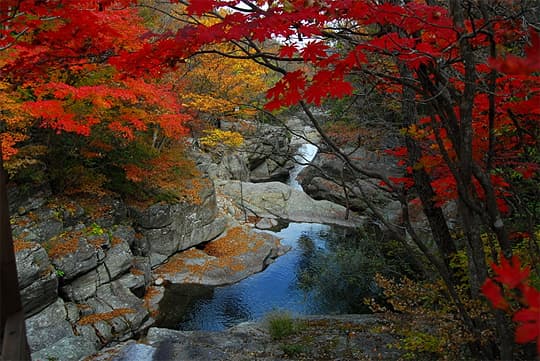 2025 전북 무주 덕유산 단풍 절정 시기 여행 가이드