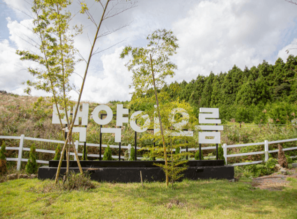 제주도 여행 가을 겨울 가볼만한 곳 오름 추천 입장료 소요시간 반려동물 동반