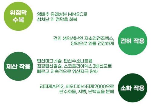 카베진효능