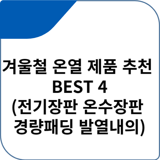 겨울철 온열 제품 추천 BEST 4(전기장판 온수장판 경량패딩 발열내의)