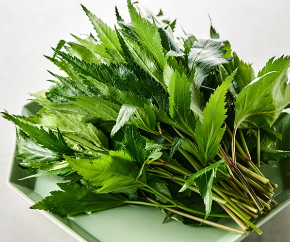 한국의 떡 종류 당귀떡