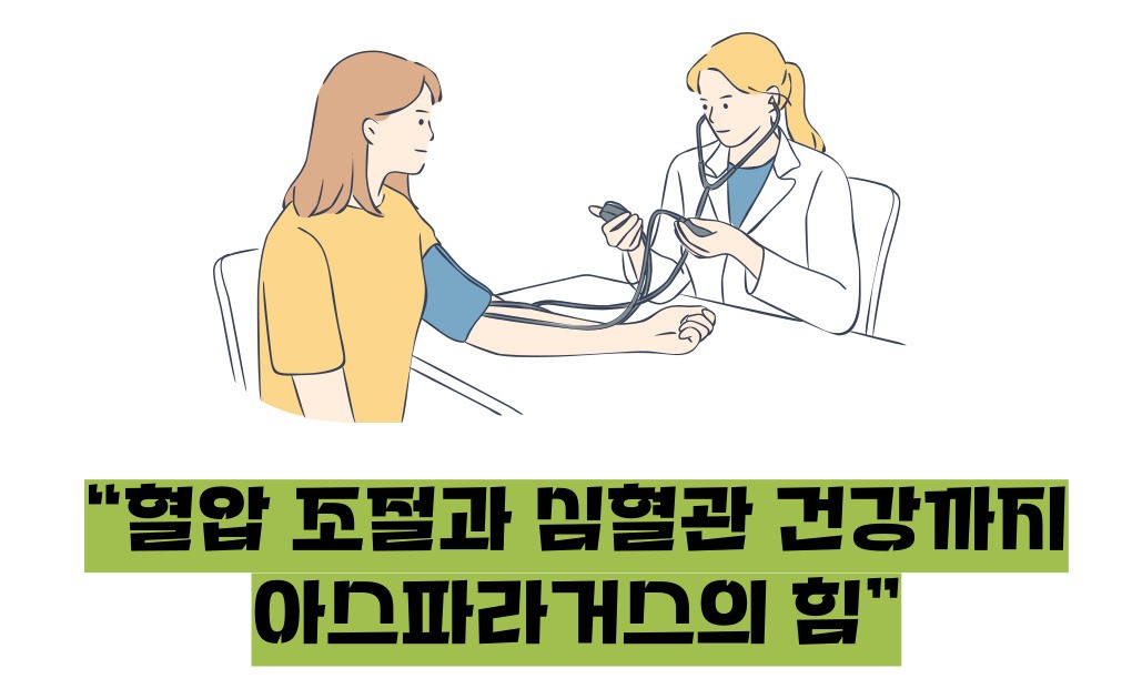 아스파라거스 효능