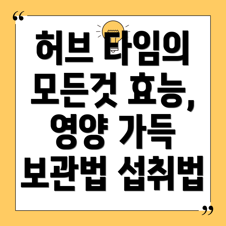 타임