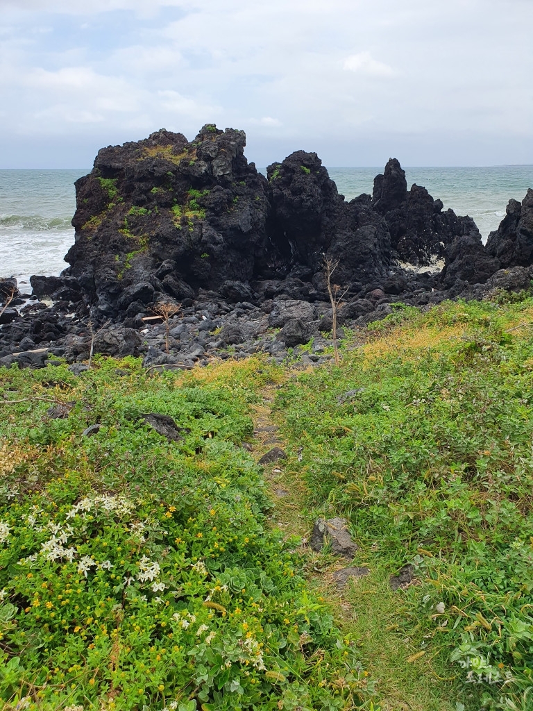 제주 고망난 돌 가는길