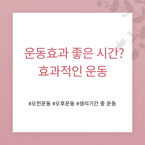 운동효과 좋은 시간