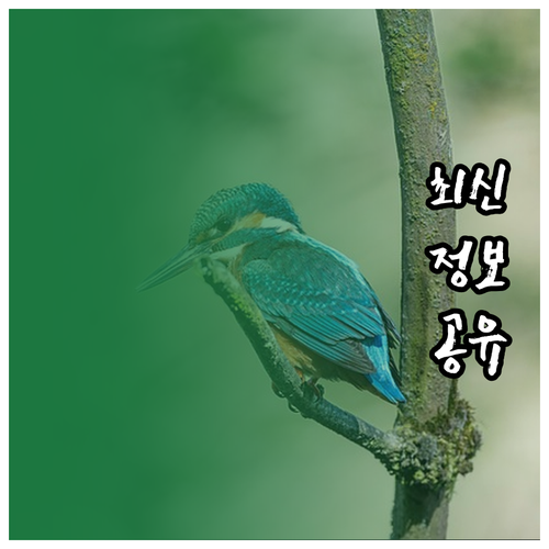 주말 청소 지쳤다면? 주간 청소 계획..