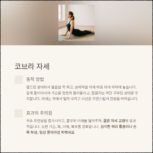 집에서 시작하는 요가 루틴 &ndash; 초보자도 쉽게 따라하는 동작 모음