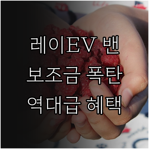 소상공인 레이 EV 2인승 밴 추가 ..