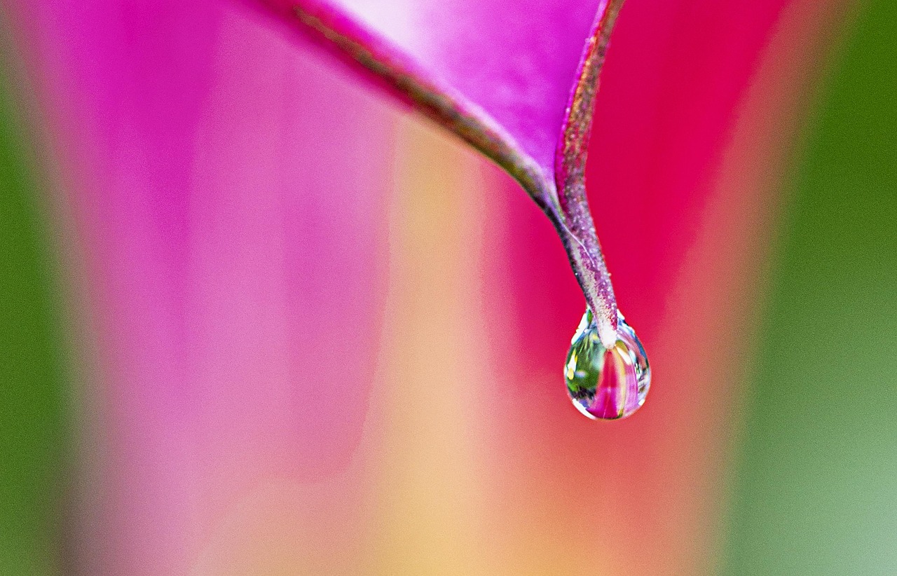 여름철 장마기간_18