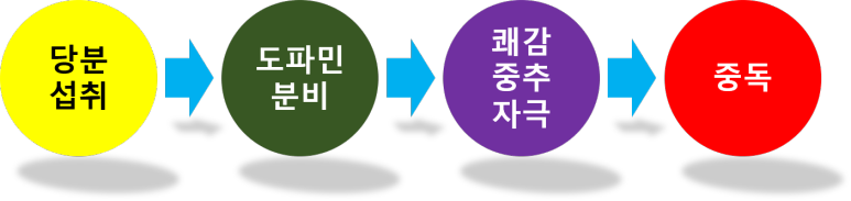 탄수화물 중독의 발생 경로