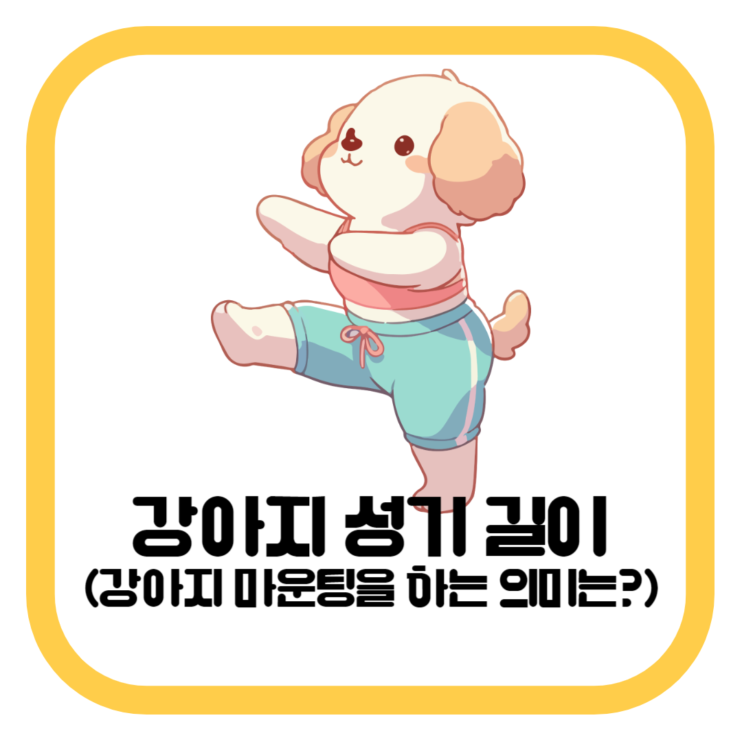 강아지 성기 길이