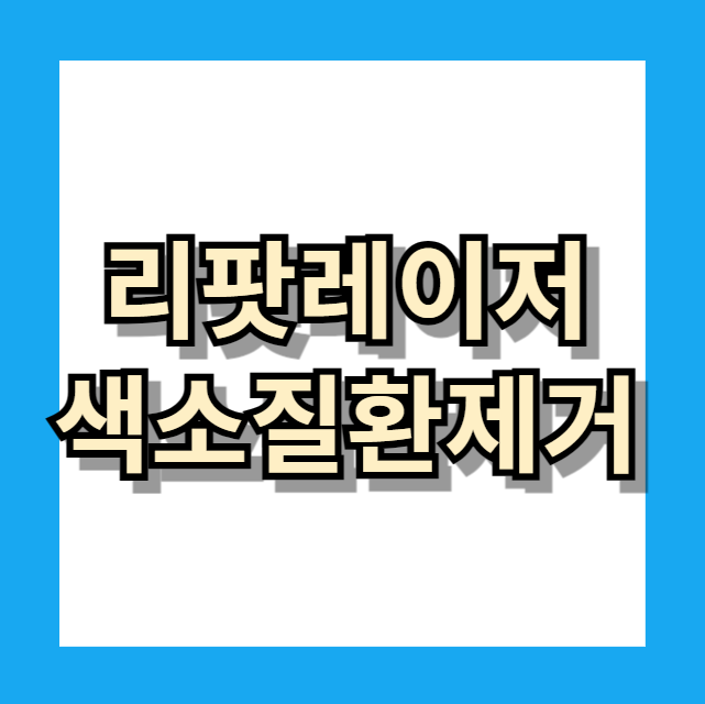 리팟레이저 색소질환제거