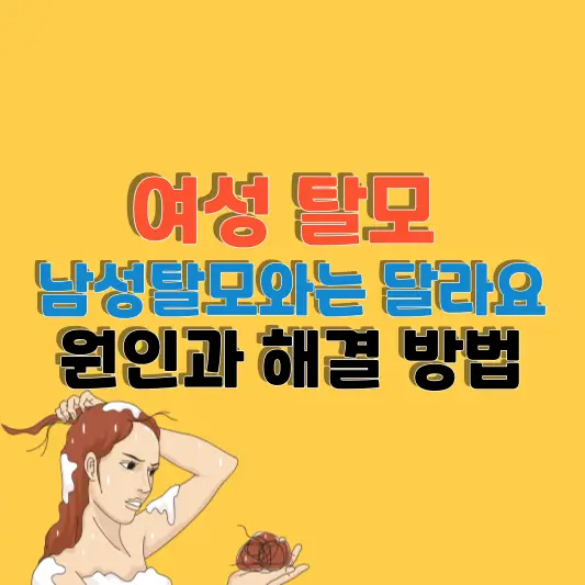 여성탈모의 원인과 해결 방법 건강한 모발을 지키는 생활습관