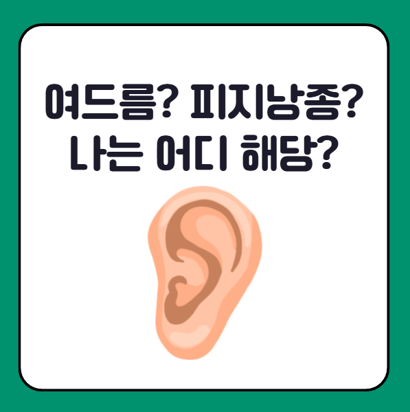 귓볼 몽우리 자가 체크리스트 