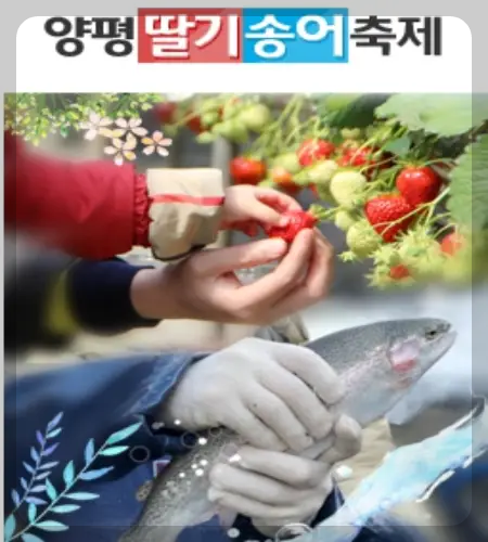 양평딸기 송어축제