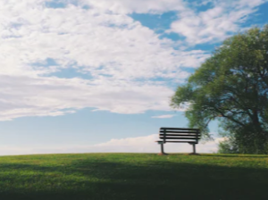 장례식 꿈 해몽