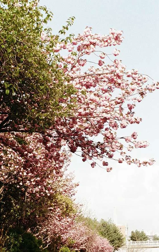 삼산체육공원