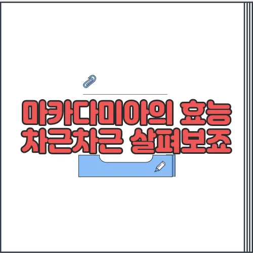 마카다미아의 효능 차근차근 살펴보죠