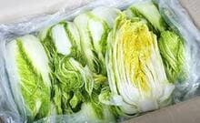 2024 절임배추 구매 방법 사전 예약