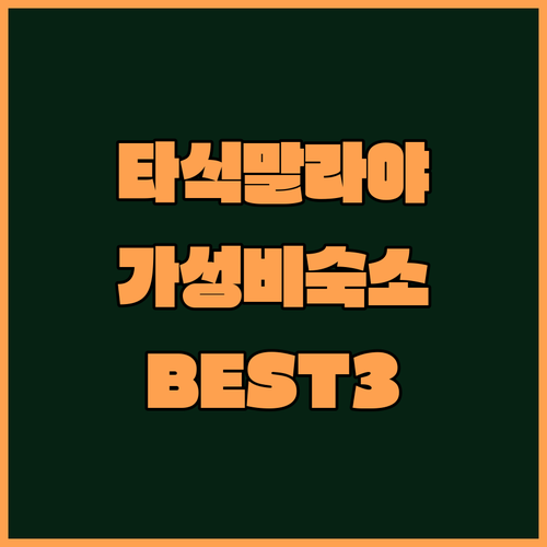 실리왕이 대학교 방문객이 주목하는 타..