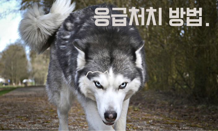 물렸을때
