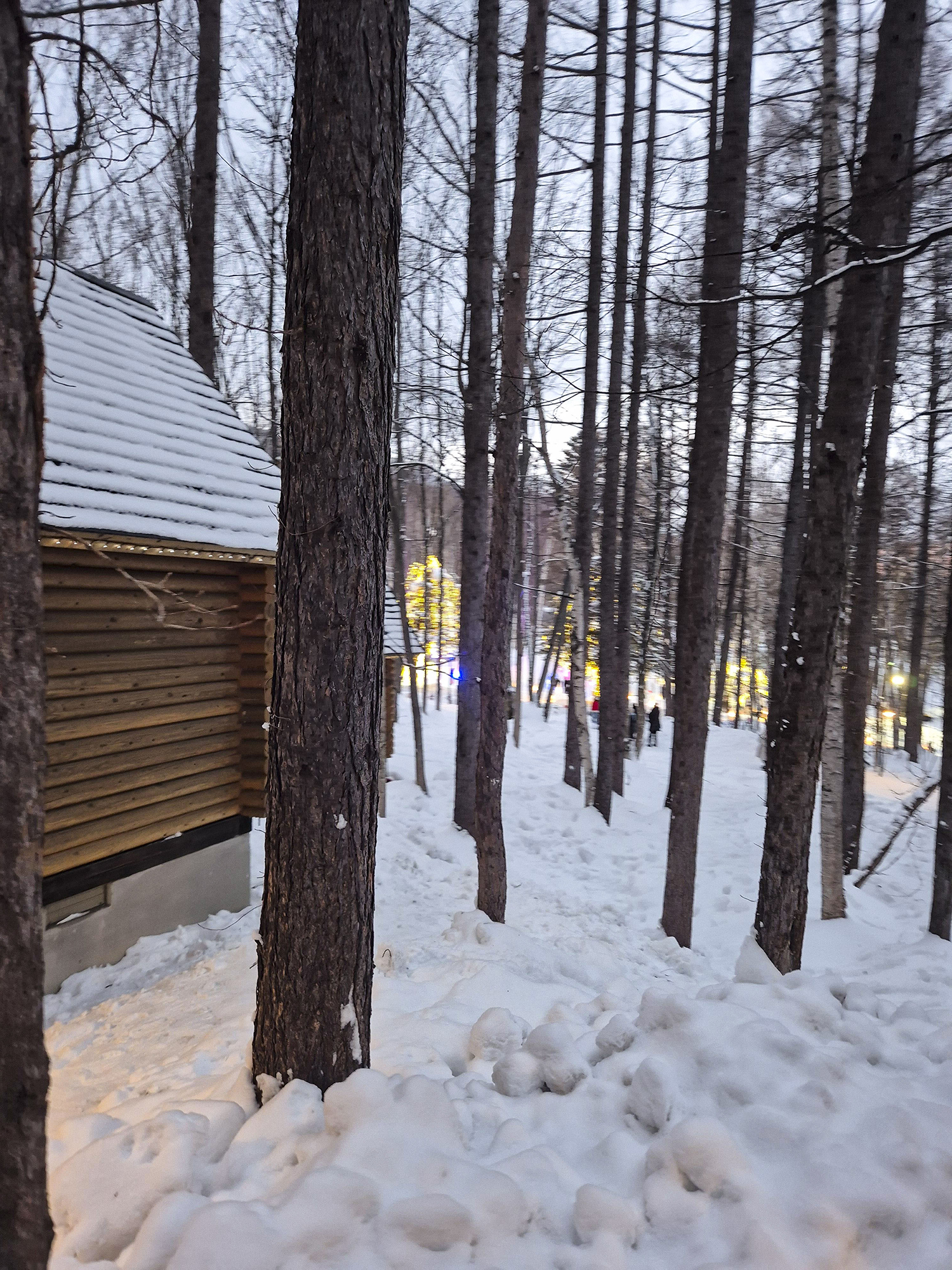 닝구르테라스 실제 사진 3