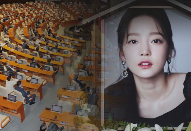 구하라법 국회 이미지