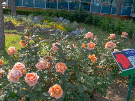 부산 정관 윗골공원