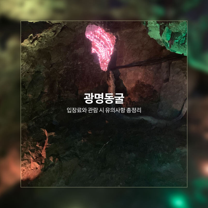 “광명동굴-입장료-유의사항”