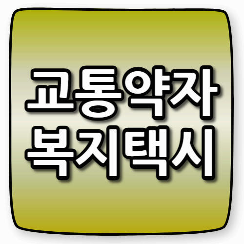 고령자·장애인 이동 돕는 복지택시, 교통약자 정책 바뀐다