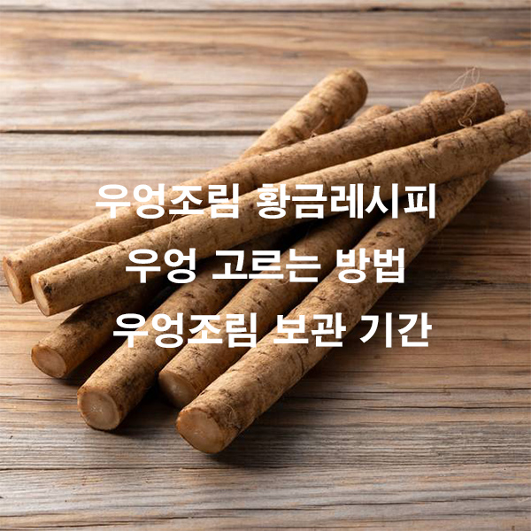 우엉조림 황금레시피 우엉 고르는 방법 우엉조림 보관 기간