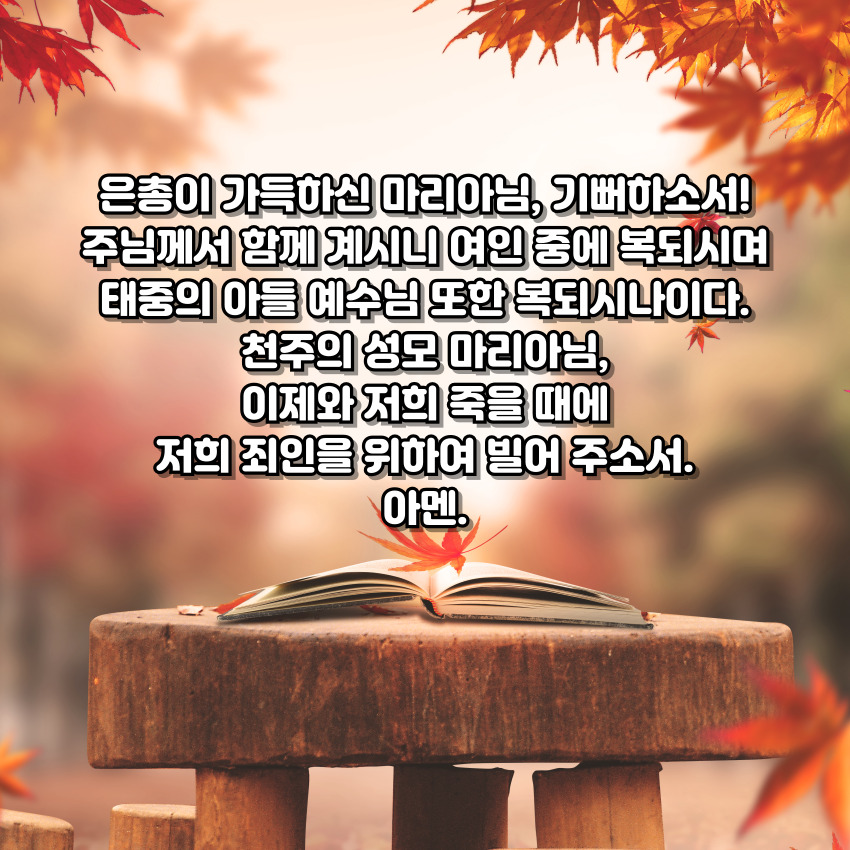 천주교 성모송 기도문