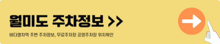 월미도 주차정보