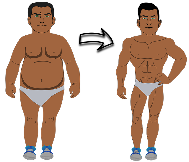 뱃살과 옆구리 살 빼는 최고의 운동과 식이요법