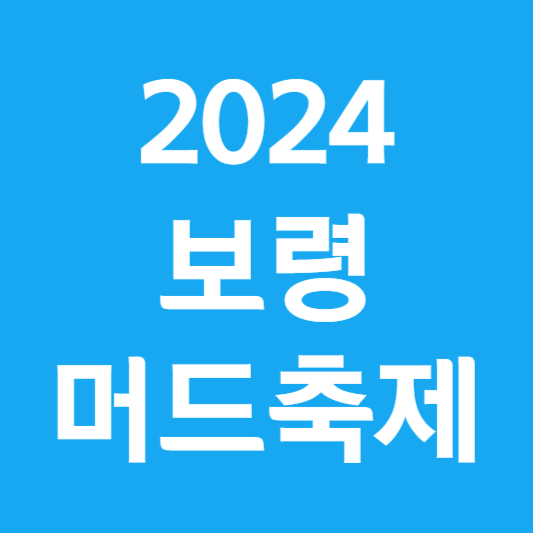 보령머드축제