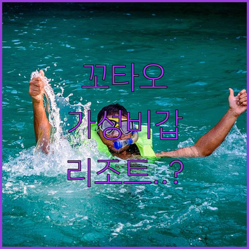 스노클링 천국 꼬타오에서 나만 알고 ..