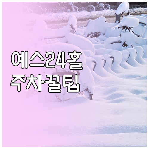 YES24 라이브홀 공연 관람객을 위..