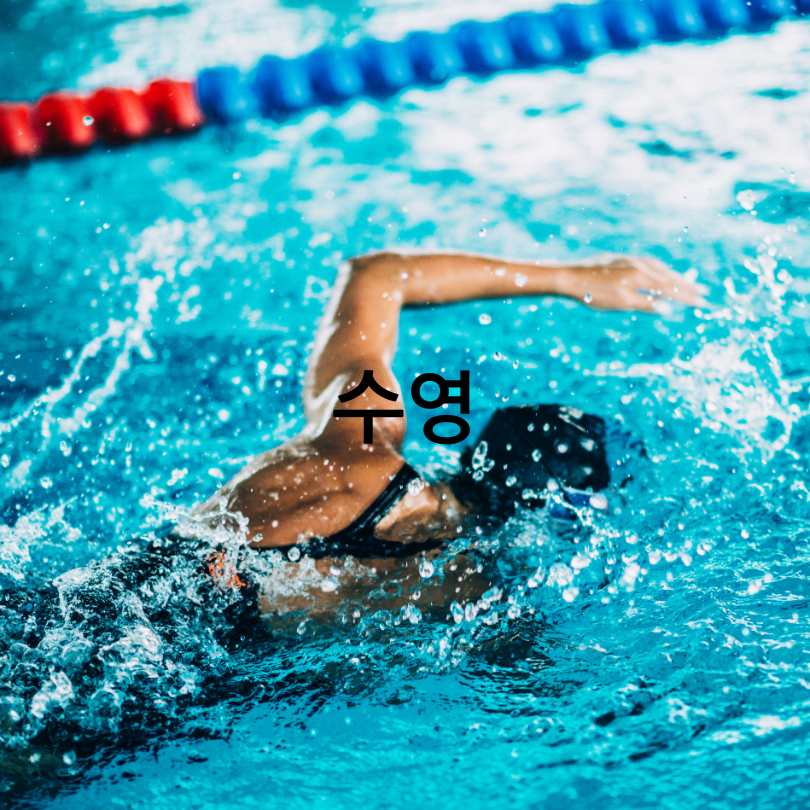 허리 협착증에 좋은 운동