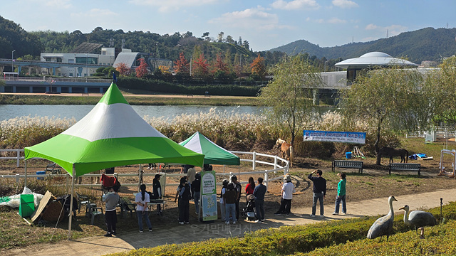2025 순천만 국가정원 순천여행 맛집 현지인 추천 맛집 순천만 숙박