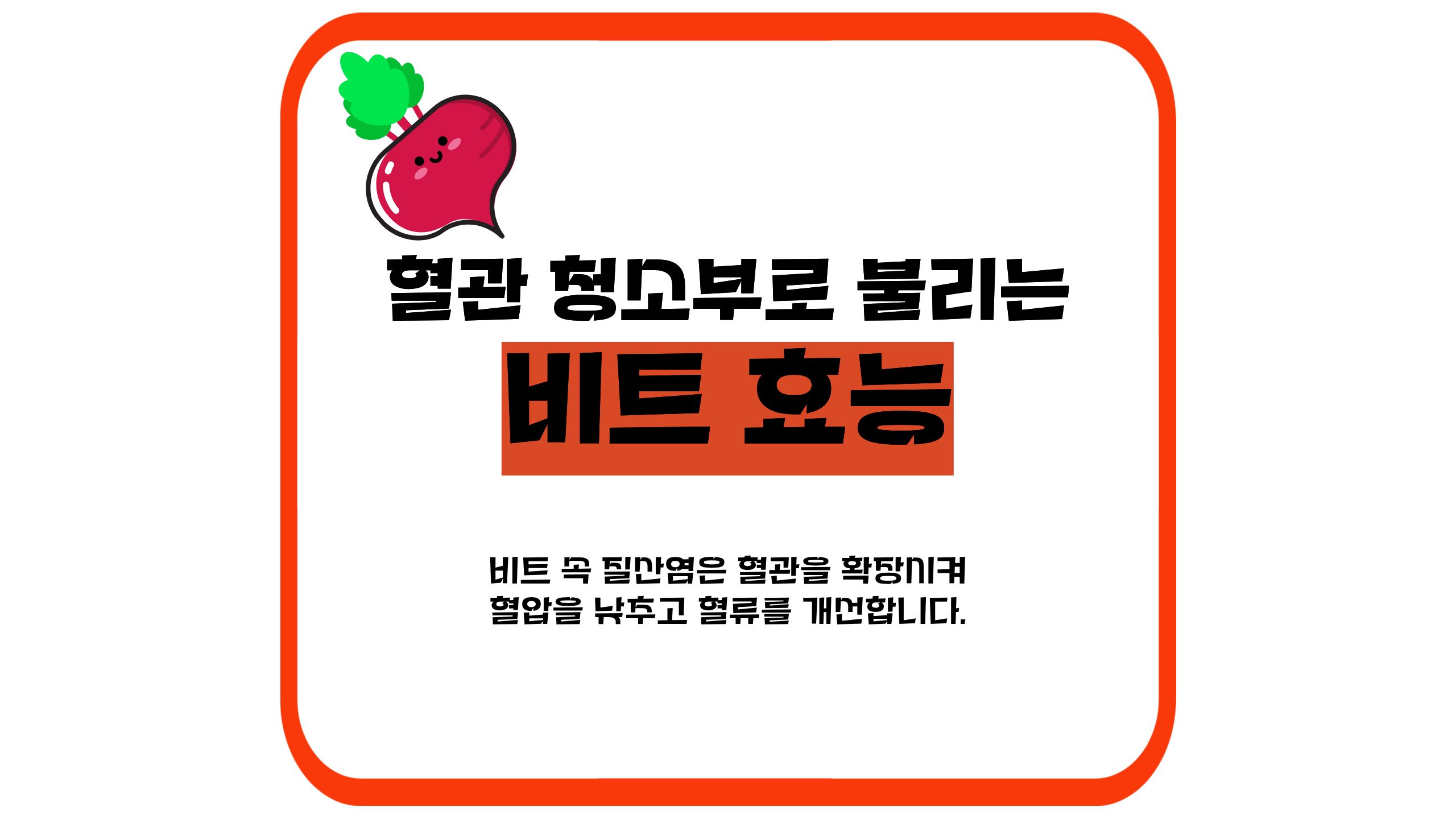 비트 효능 썸네일 이미지