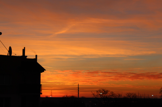 새벽 4시에 일어나 하루 보내기