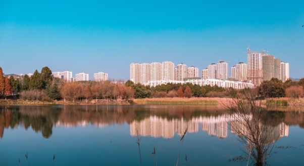 2024년 수도권 취업경쟁 상황 관련 사진