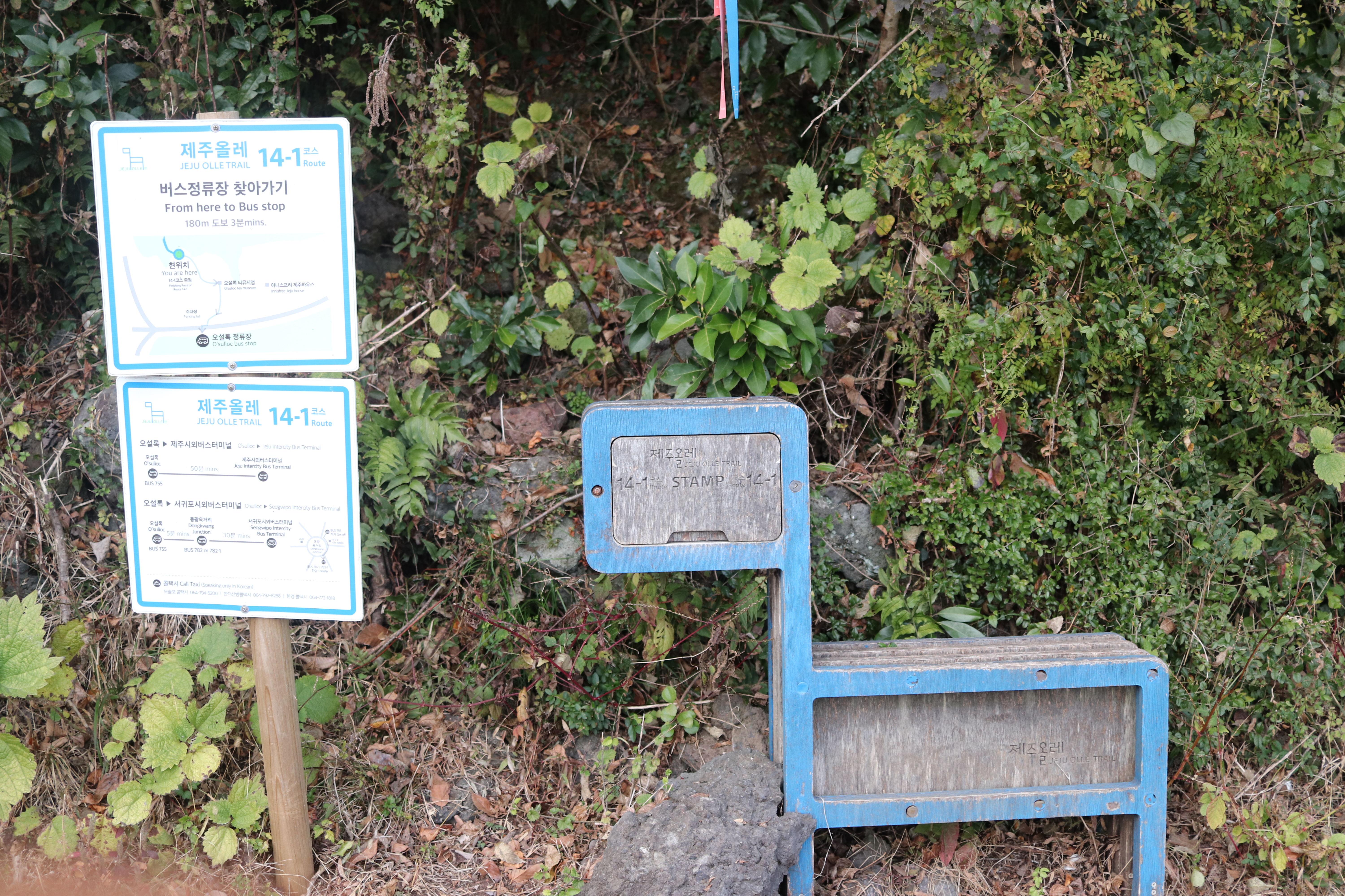 제주 올레 14&amp; 14-1 코스 관련 사진