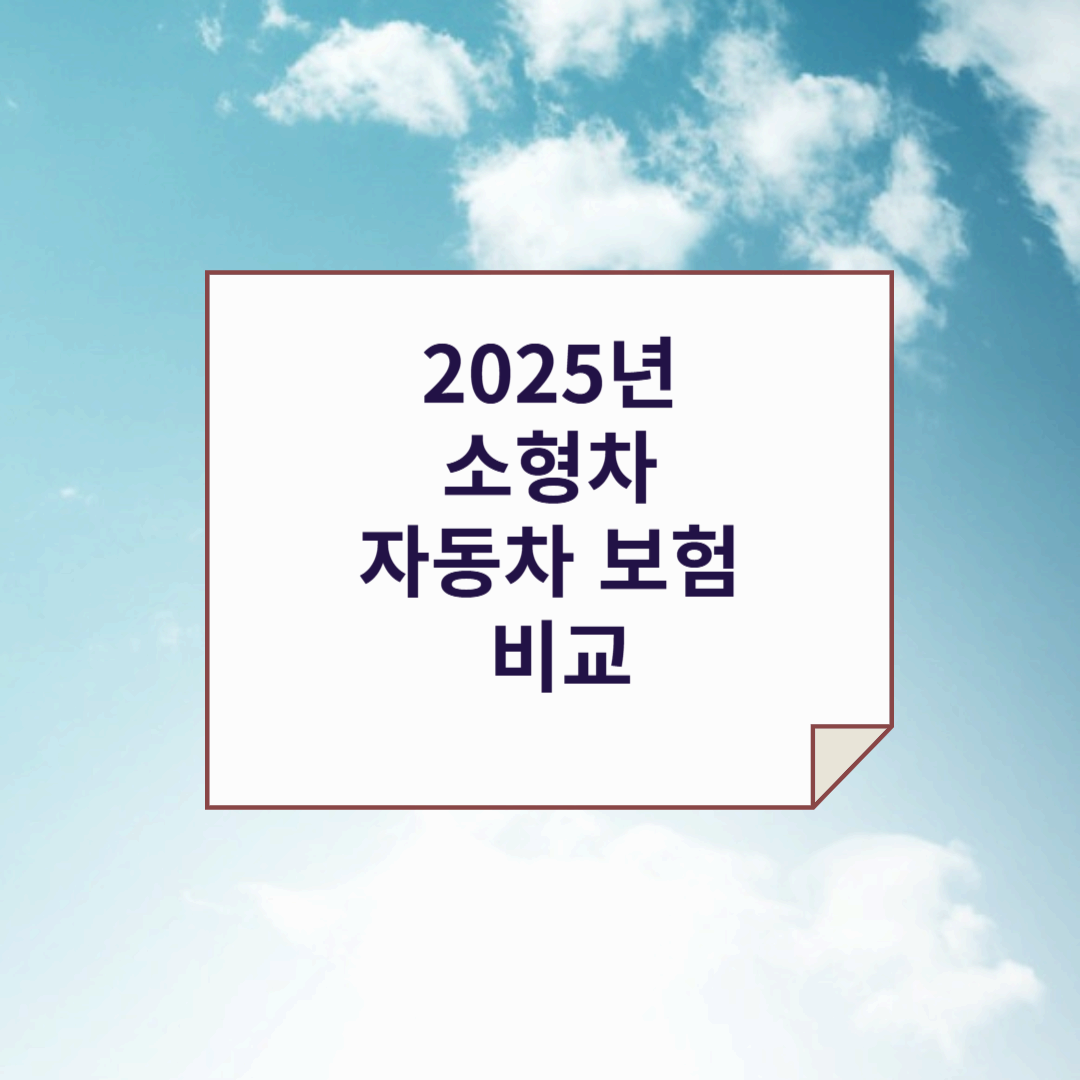 소형차 자동차보험 비교