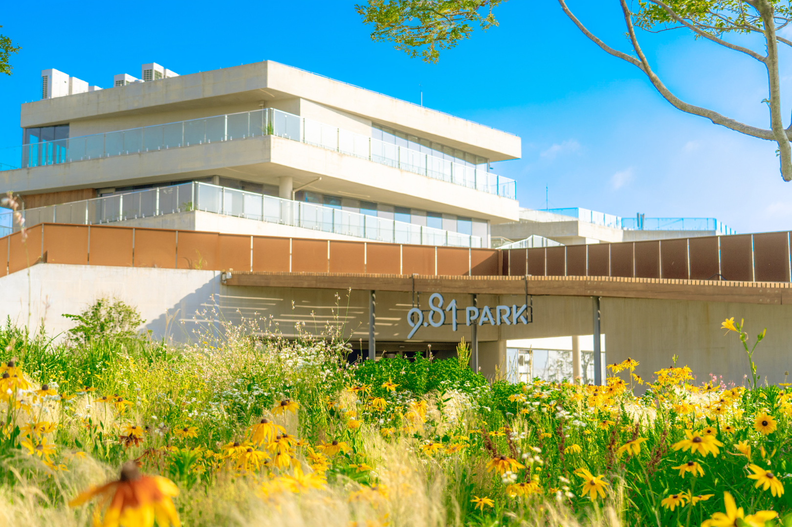 9.81파크