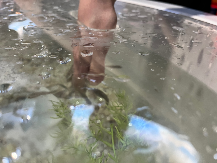 엄청 재밌었던 닥터피쉬 체험 2