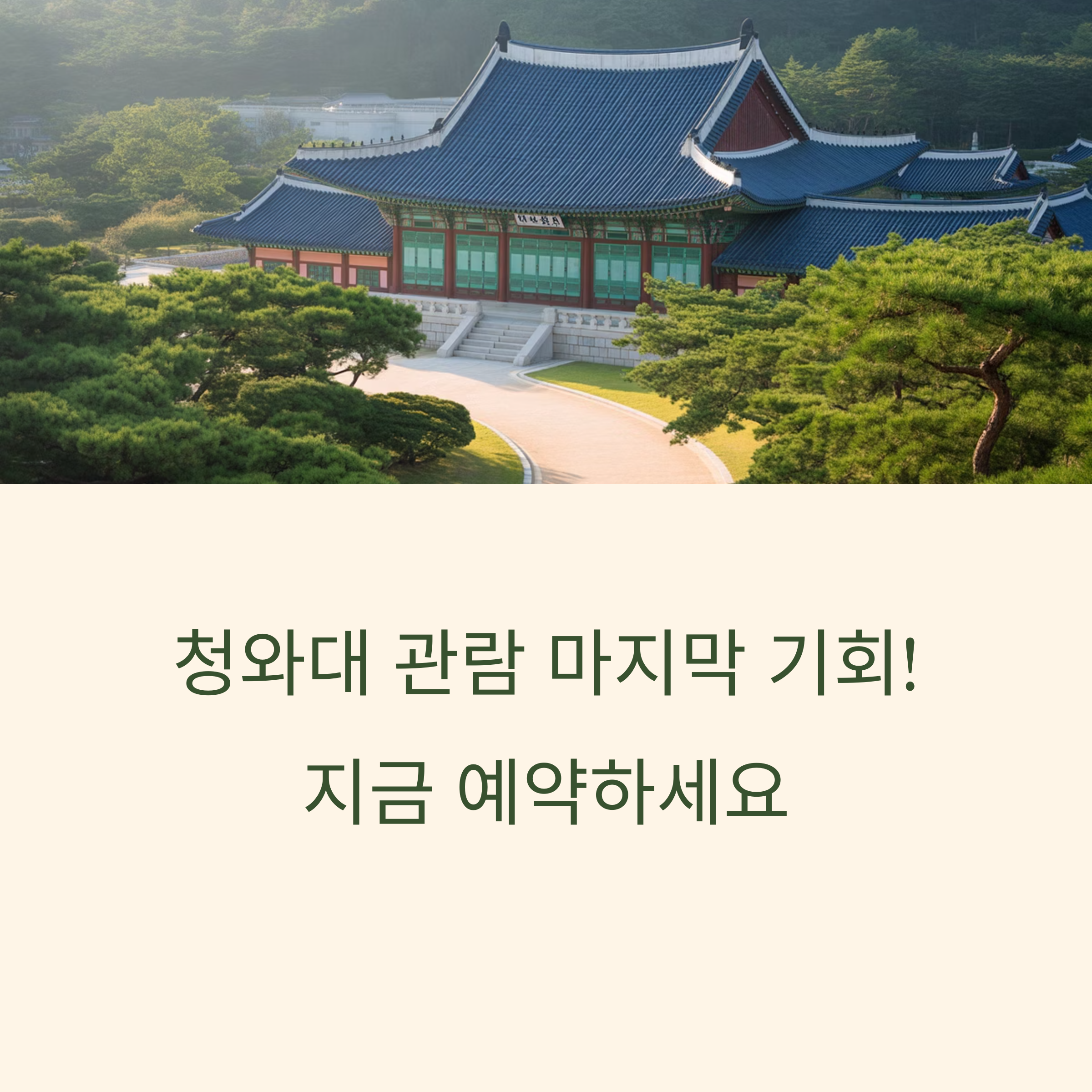 청와대 개방